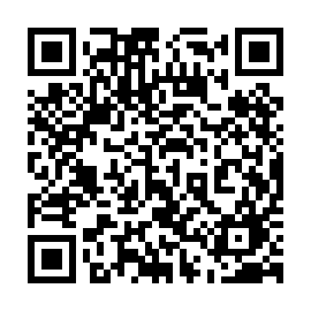 QR code for 541PAG