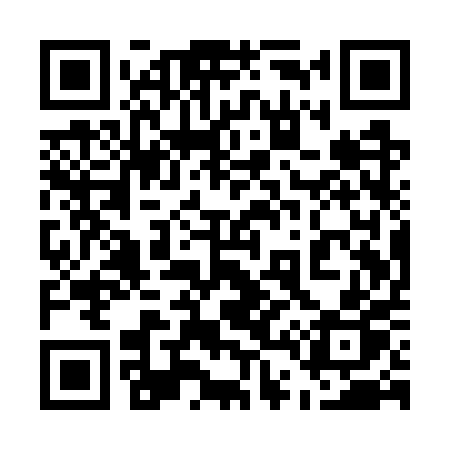 QR code for 541WPP