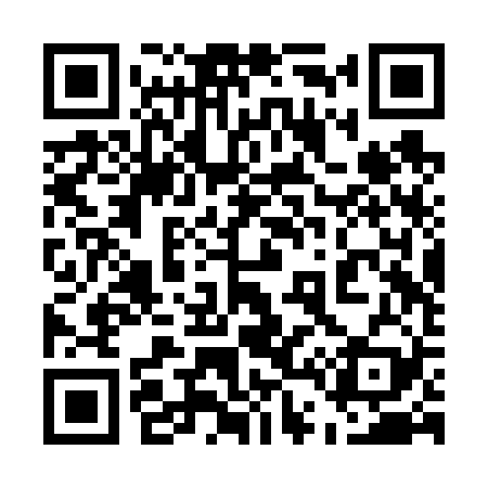 QR code for 542V29