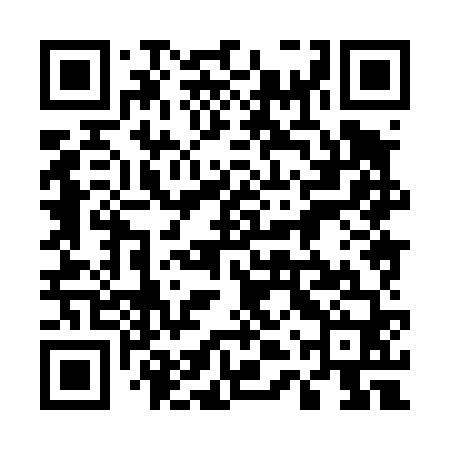 QR code for 54X460