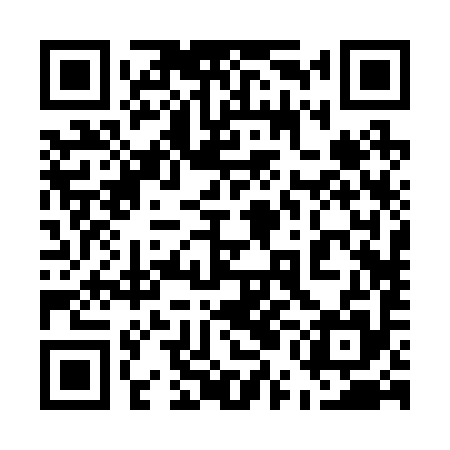 QR code for 55B295