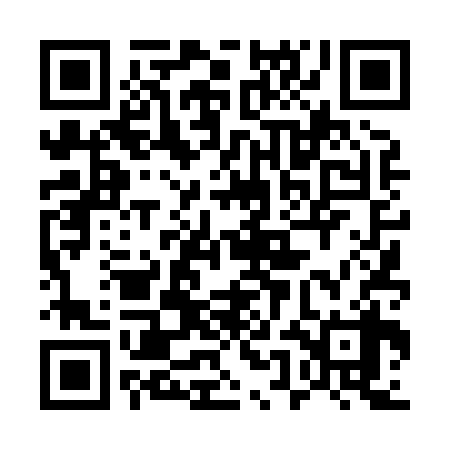 QR code for 55D838