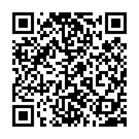 QR code for 55I419