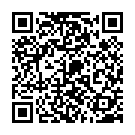 QR code for 55M009