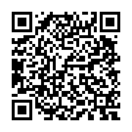 QR code for 55P410
