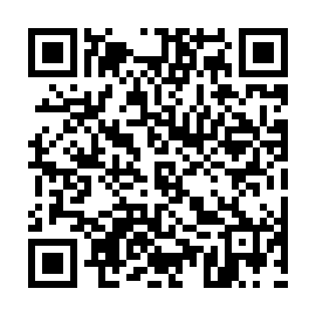 QR code for 55P880
