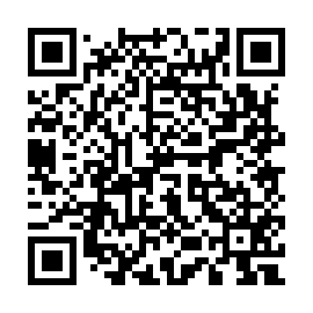 QR code for 55P955