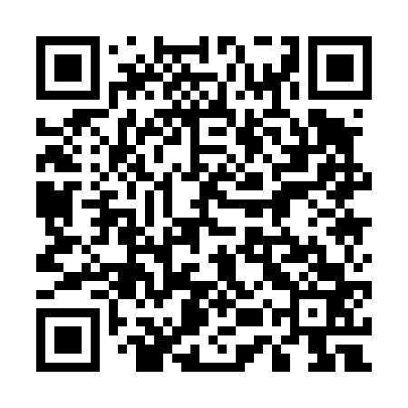 QR code for 55Q463