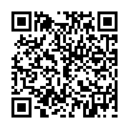 QR code for 55Q955