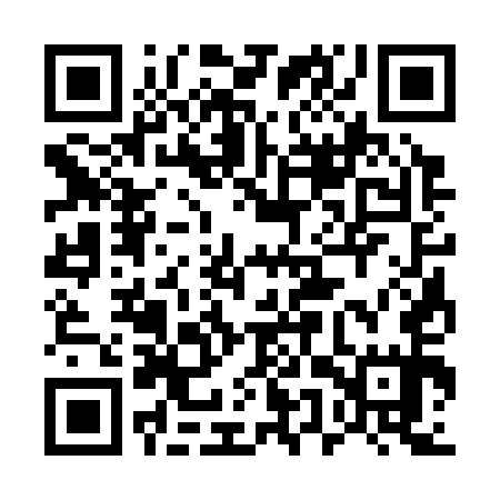 QR code for 55S355