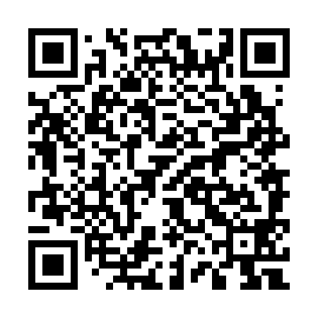 QR code for 56N398
