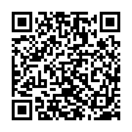 QR code for 58X313