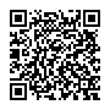QR code for 597N33