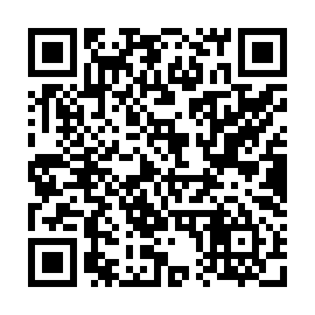 QR code for 601Z95