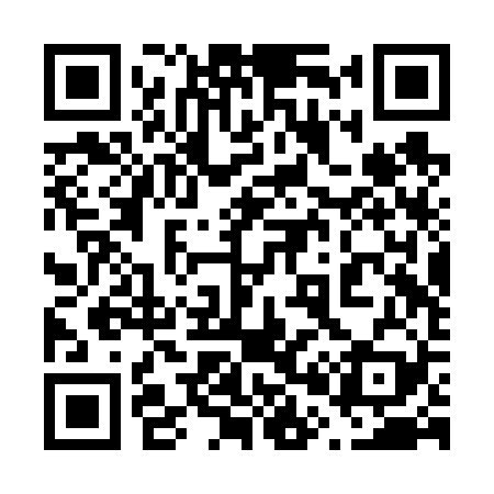 QR code for 602V29