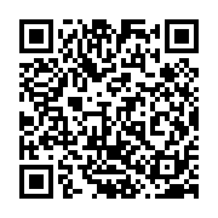 QR code for 607P11