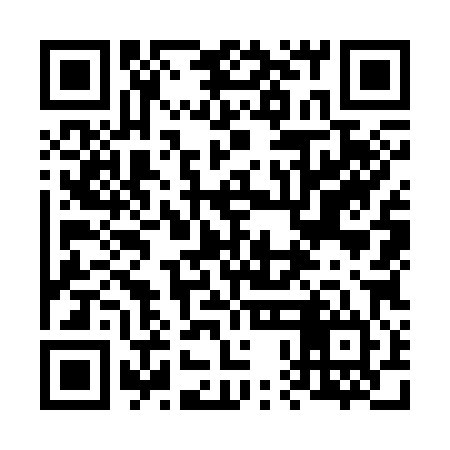 QR code for 60O384