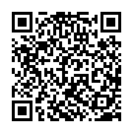 QR code for 60P208