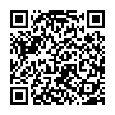 QR code for 60P379