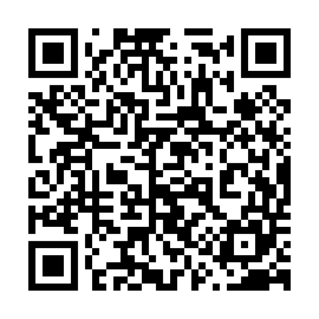 QR code for 611P45