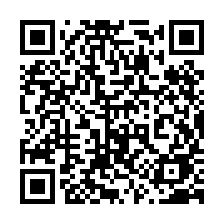 QR code for 619PIE