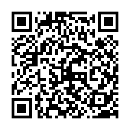 QR code for 61Q038