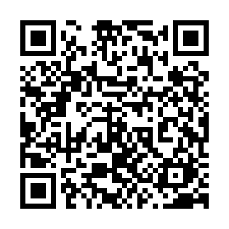 QR code for 638ARM