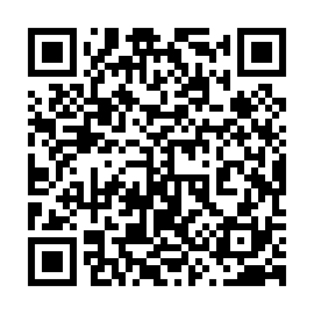 QR code for 638P30