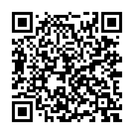QR code for 638TIL