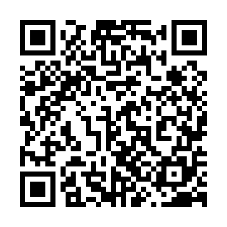 QR code for 63N155