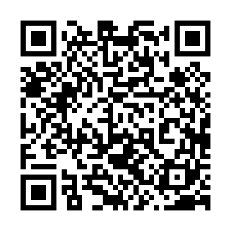 QR code for 63P061