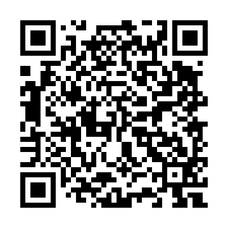 QR code for 63P493