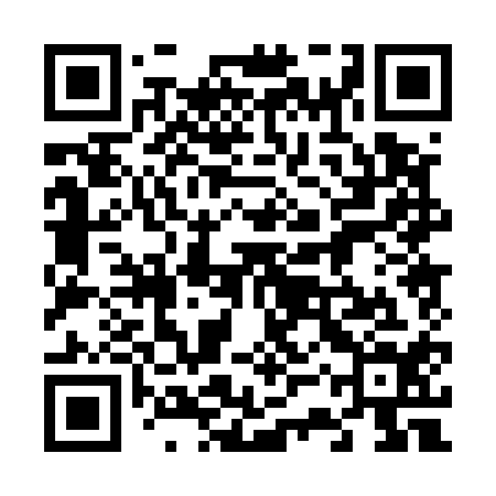 QR code for 63P514