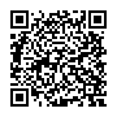 QR code for 63P543