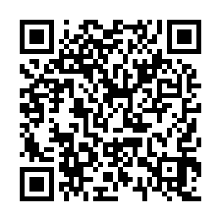 QR code for 63P913