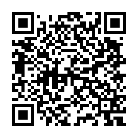 QR code for 63Q461