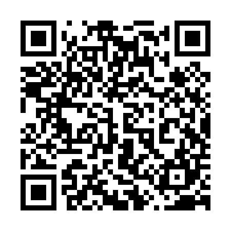 QR code for 642P04