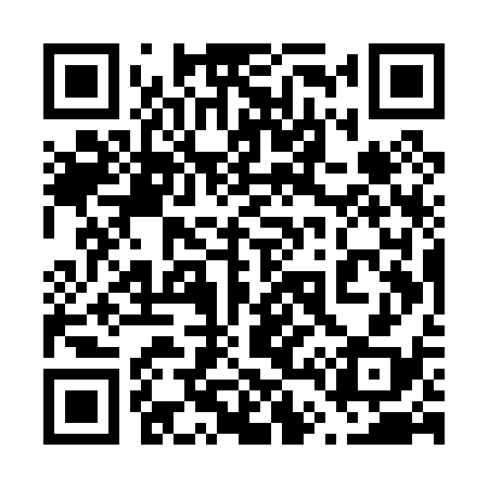 QR code for 645P38