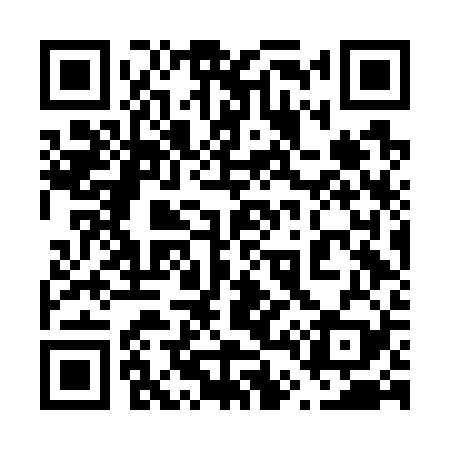QR code for 646G29