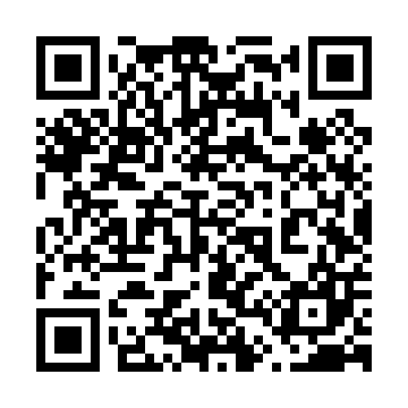 QR code for 646P07