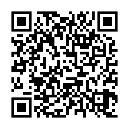 QR code for 646X29