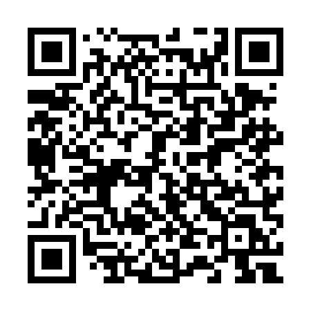 QR code for 647DML