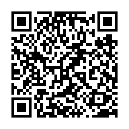 QR code for 650FRY