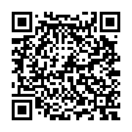 QR code for 650P51