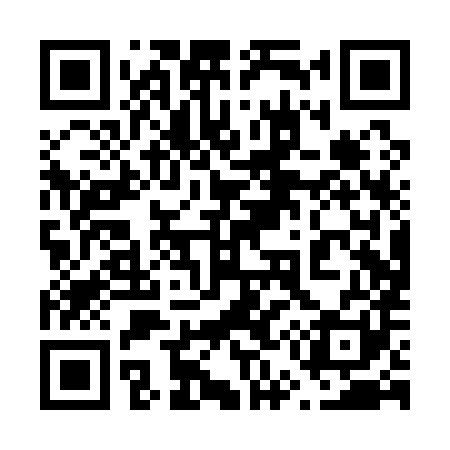 QR code for 650Q81