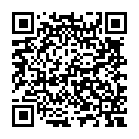 QR code for 655L96