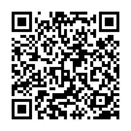 QR code for 656D29