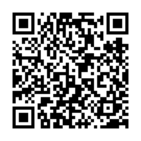 QR code for 656VIS