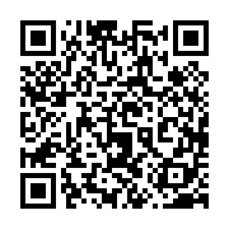 QR code for 65P058