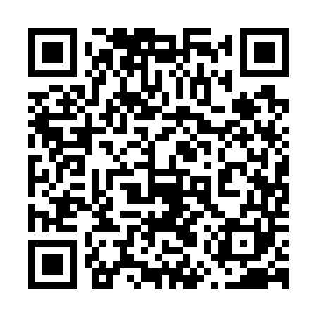 QR code for 65Q741